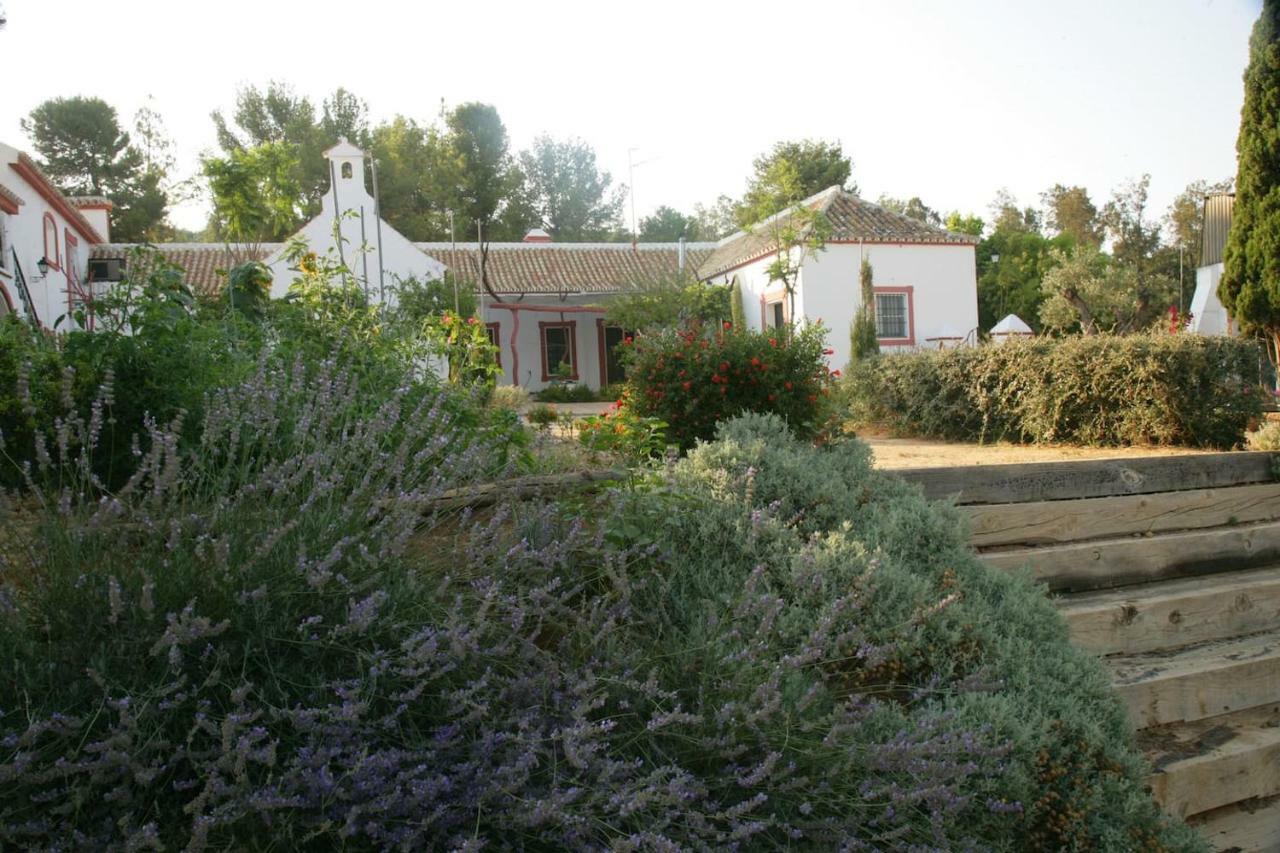 Cortijo El Triguero N-398 Ctra Carmona - El Viso Del Alcor Km 18 Villa Exterior foto